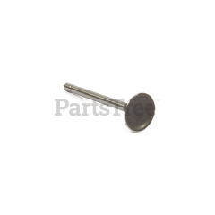Simplicity 555551 Valve-Intake - image 1
