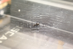 Echo 90010505012 Screw, 5 X 12 Hsh - image 4
