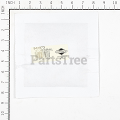 Snapper 808185 Use 842873: Carburetor Kit - image 4