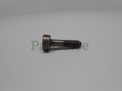 RedMax 501981020 Screw, Itxscm - image 3