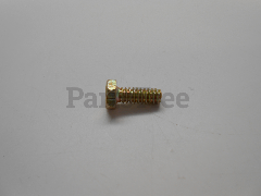 RedMax 874321008 Screw - image 1