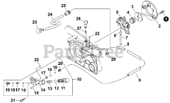Echo CS-800 P - Echo Chainsaw (SN: C30913001001 - C30913999999)