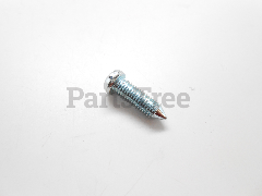 Echo 12311009560 Pump Cover Screw, Wt-274