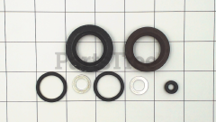 MTD 951-10416A Gasket Kit, Complete - image 2