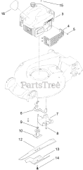 Toro 20797 - Toro 53cm Super Recycler Walk-Behind Mower (SN: 313000001 - 313999999) (2013) Engine and Blade Assembly