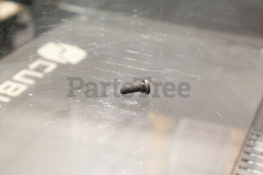 Echo V204000580 Ratchet Pin - image 1