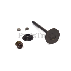 Snapper 841891 Use 844787: Valve-Exhaust - image 2