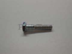 RedMax 530001648 Screw - image 1