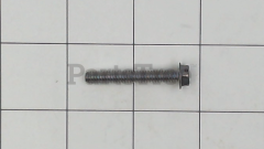 RedMax 530015169 Screw