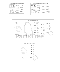 Briggs & Stratton 356447-0075-G1 - Briggs & Stratton Horizontal Engine Carburetor Overhaul Kit, Engine &amp; Valve Set