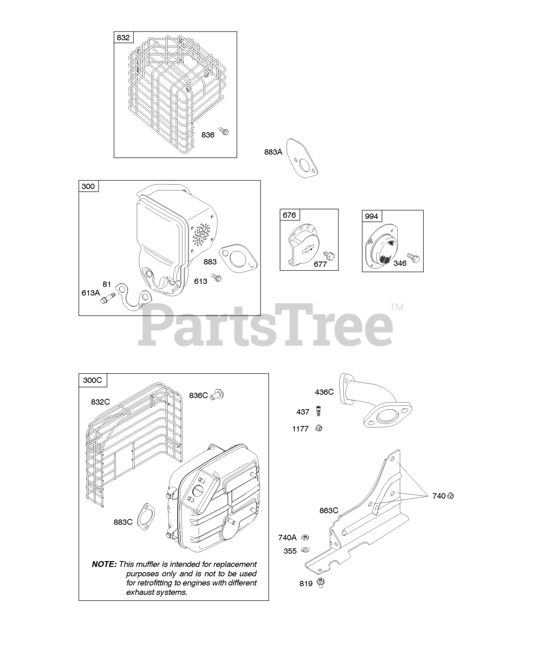 Briggs & Stratton 202432-0116