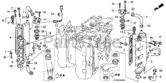 Honda BF200 A4 XA (BAEJ) - Honda Marine Engine, Made in Japan (SN: BAEJ-1200001 - BAEJ-1299999) EXHAUST MANIFOLD + THERMOSTAT