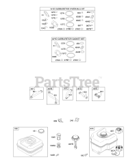 Briggs & Stratton 122432-0152-E8 - Briggs & Stratton Horizontal Engine Fuel Supply