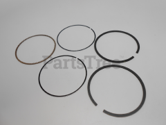 Snapper 790360 Use 791098: Ring Set-Std - image 1