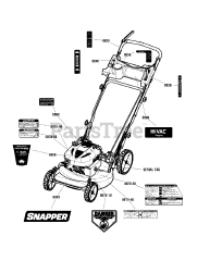 Snapper P 2185020E (7800982-00) - Snapper 21" Walk-Behind Mower, Electric Start, 8.5hp