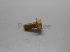 Simplicity 699629 Muffler Guard Screw - image 1