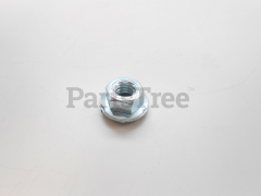 Tecumseh 650513 Nut And Lockwasher - image 1