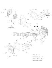 Troy-Bilt 1P65B0C - Troy-Bilt Engine 1P65B0C Cylinder Head
