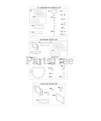 Briggs & Stratton 44R577-0002-H1 - Briggs & Stratton Vertical Engine Engine/Valve Gasket Set, Carburetor Overhaul Kit