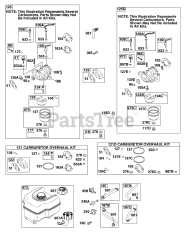 Briggs & Stratton 121302-0194-E2 - Briggs & Stratton Horizontal Engine Carburetor, Fuel Supply
