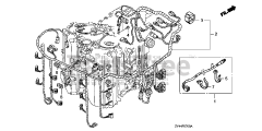 Honda BF175 AK1 XA (BAJJ) - Honda Marine Engine, Made in Japan (SN: BAJJ-1300001 - BAJJ-9999999) WIRE HARNESS