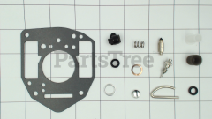 Snapper 808395 Use 842881: Kit-Carb Overhaul - image 1