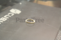 Echo V106000080 Cap Gasket - image 1