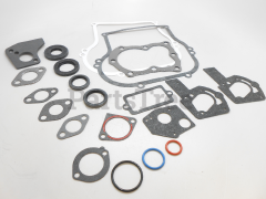 Snapper 397145 Use 495603: Gasket Kit - image 1