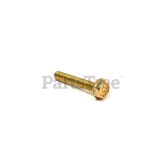 Briggs & Stratton 699772 Screw - image 2