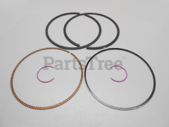 Snapper 697114 Use 792307: Piston Assy-Std - image 2