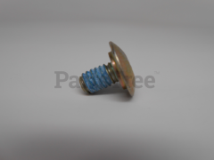 MTD 710-04531 Screw, 1/4-20 X .39" - image 1