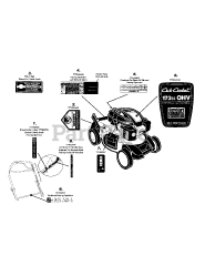 Cub Cadet CC 550 SP (12A-18MC056) - Cub Cadet Walk-Behind Mower (2008)
