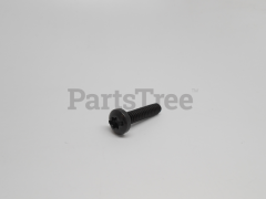 Echo 45130 Torx Screw