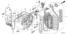 Honda BF250 A XXCA (BBJJ) - Honda Marine Engine, Made in Japan (SN: BBJJ-8000001 - BBJJ-9999999) INTAKE MANIFOLD