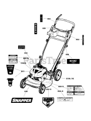 Snapper P 2187520 (7800947-01) - Snapper 21" Walk-Behind Mower, 8.75hp