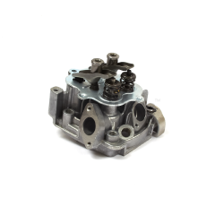 Snapper 555635 Head-Cylinder - image 1