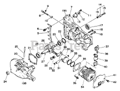 Echo CS-550 EVL - Echo Chainsaw Engine, Crankcase, Intake