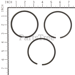 Snapper 393883 Use 690016: Ring  Piston Kit - image 2