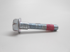 Briggs & Stratton 699484 Screw - image 1