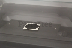Tecumseh 36695 Starter Decal - image 1