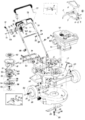 MTD 125-234-000 - MTD Walk-Behind Mower (1985)