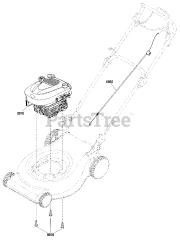 Snapper ERDV 16675EX (881585) - Snapper 16" Walk-Behind Mower