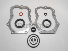 Simplicity 394501 Use 495868: Engine Gasket Set - image 2