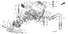 Honda BF175 AK1 XA (BAJJ) - Honda Marine Engine, Made in Japan (SN: BAJJ-1300001 - BAJJ-9999999) THROTTLE BODY