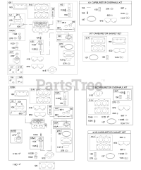 Briggs & Stratton 446777-0100-E1 - Briggs & Stratton Vertical Engine Carburetor, Kit - Carburetor Overhaul