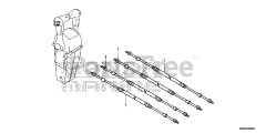 Honda BF250 A XXCA (BBJJ) - Honda Marine Engine, Made in Japan (SN: BBJJ-8000001 - BBJJ-9999999) CABLE (DUAL)