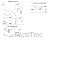 Briggs & Stratton 401577-0724-E1 - Briggs & Stratton Vertical Engine Engine/Valve Gasket Set, Carburetor Overhaul Kit