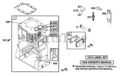 Briggs & Stratton 252412-0202-XX - Briggs & Stratton Horizontal Engine