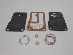 Briggs & Stratton 393397 Fuel Pump Kit - image 1