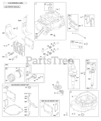 Briggs & Stratton 126L07-5050-F1 - Briggs & Stratton Vertical Engine
